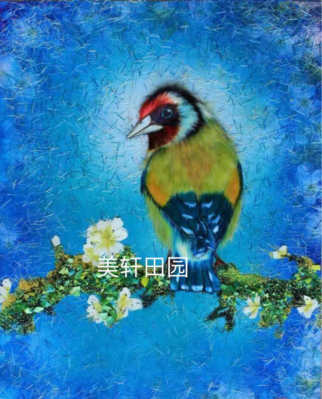  極品彩色小鳥(niǎo)4(圖1)